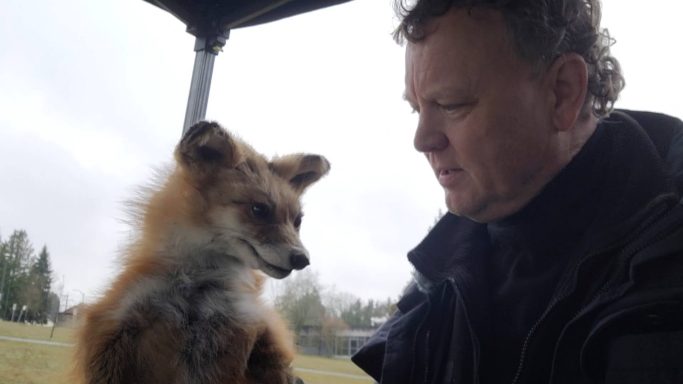 The Fox on Animal Control I puppeteered.